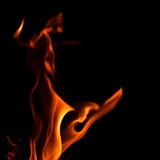 dailyPhoto31